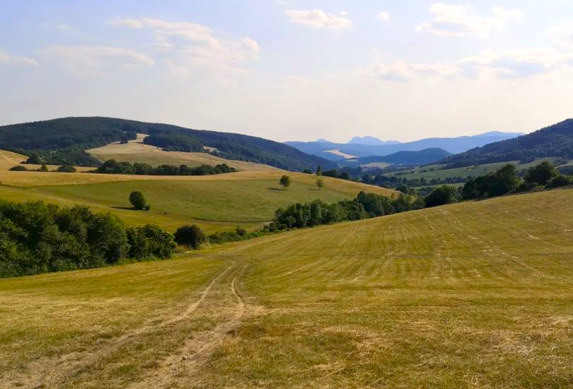 Hoštiná – 20.700 m2 ORNÁ PÔDA a LES pri Púchove - Na predaj