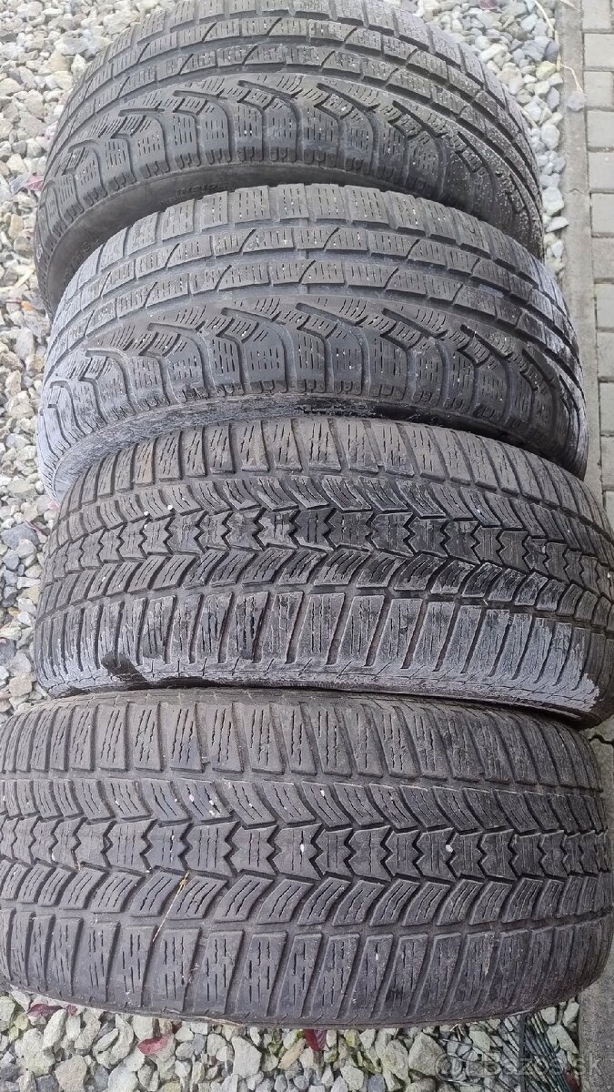 225/50 R17 Zimné