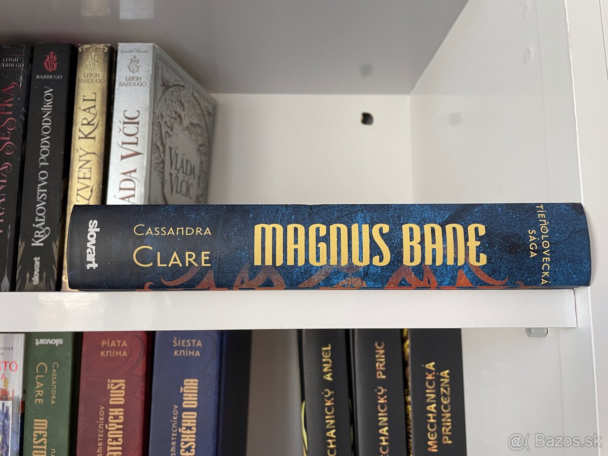 Magnus Bane - Cassandra Clare