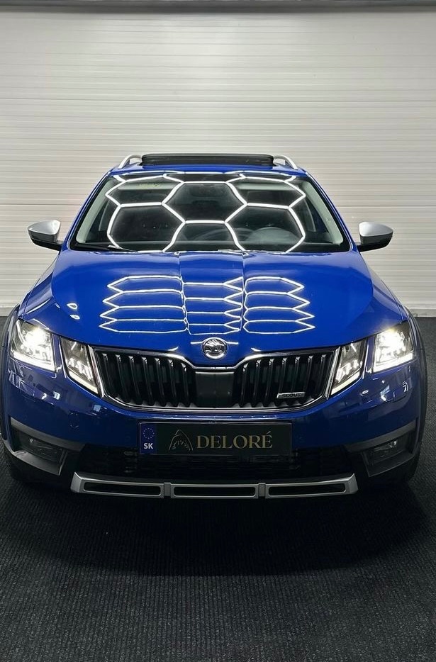 Škoda scout 2019