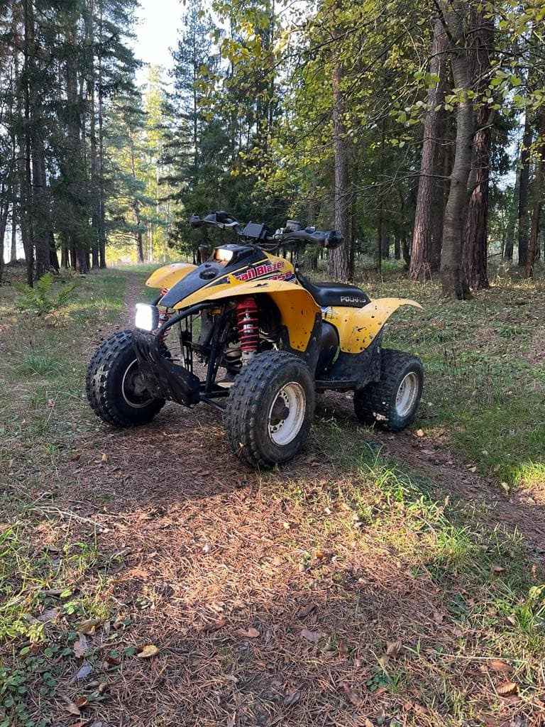 Polaris Trail Blazer 250