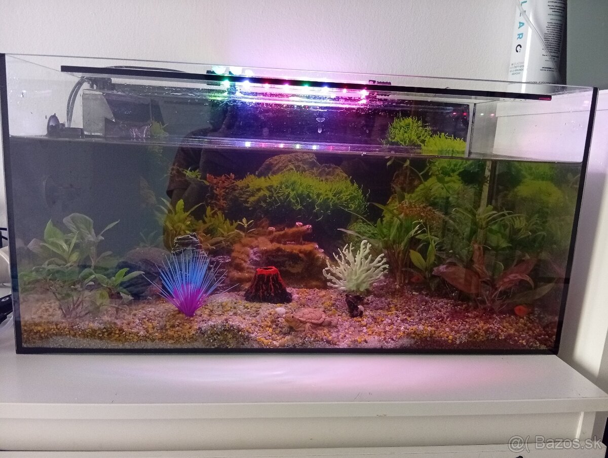 Zabehnuté komplet akvarium 54 l