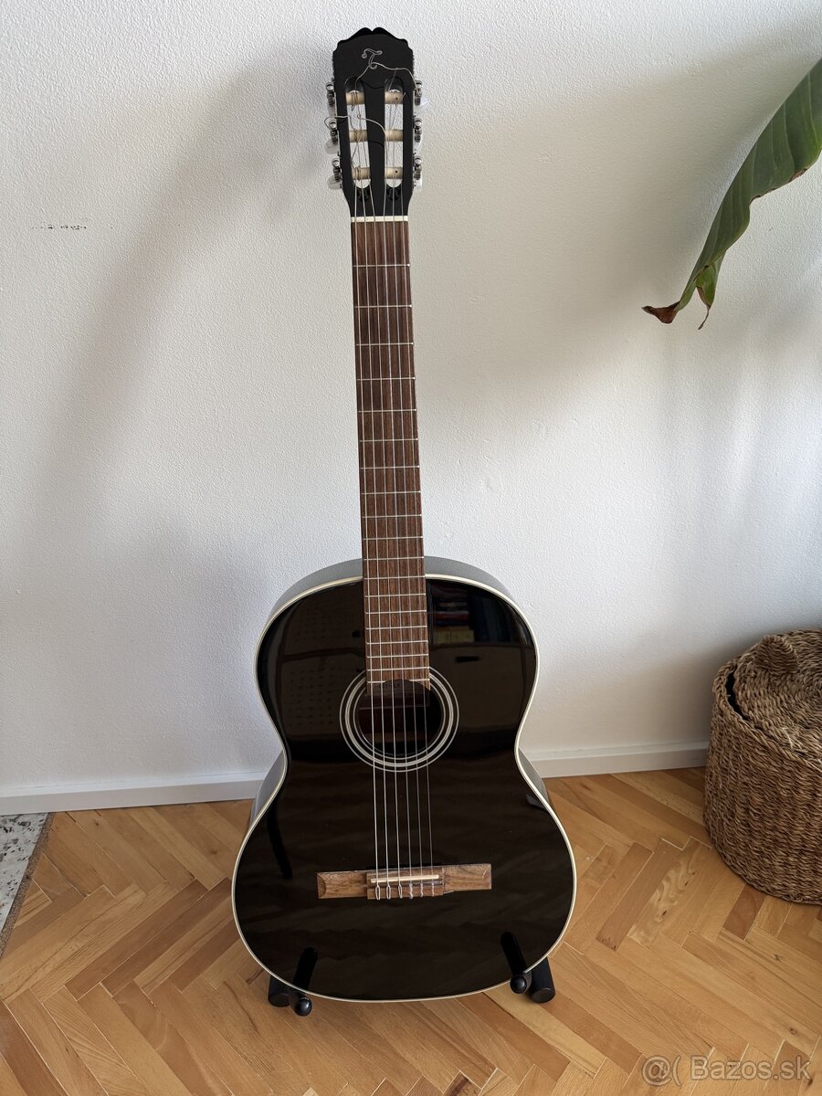 Gitara Takamine + stojan, obal