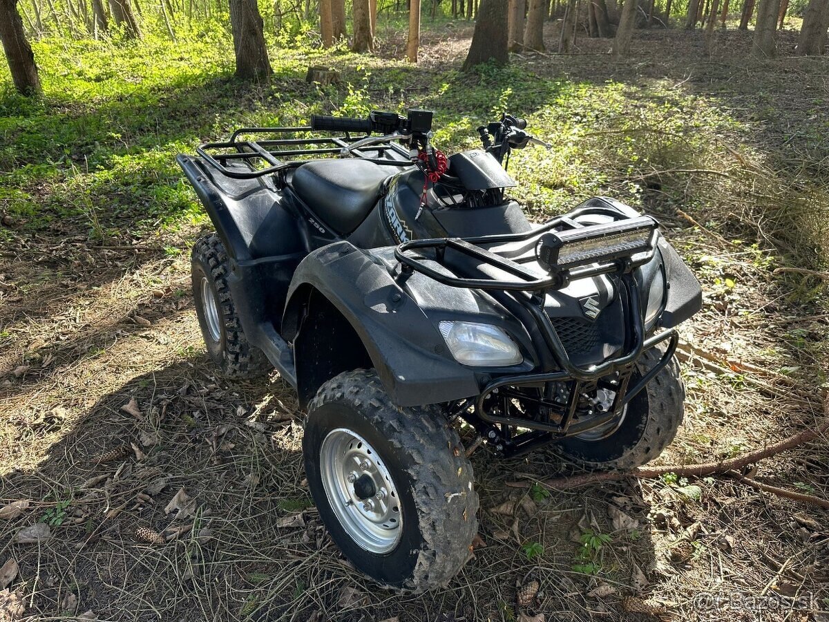 Suzuki Ozark 250