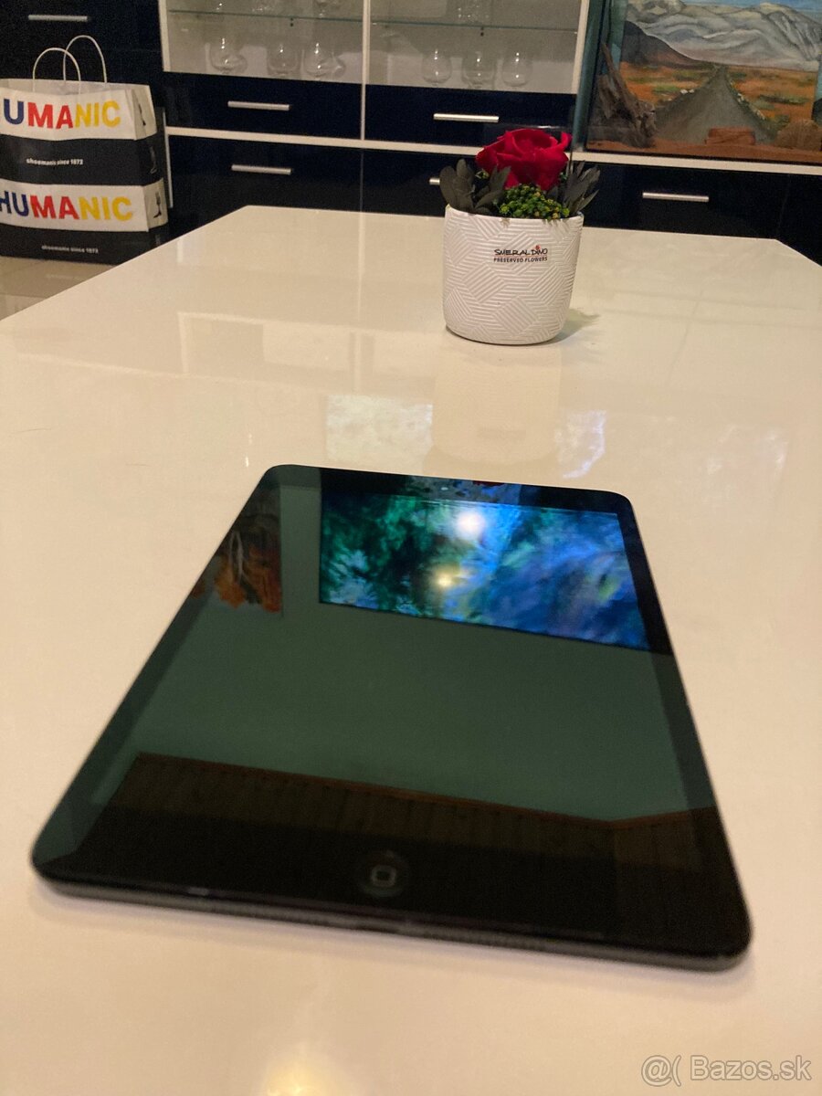 iPad Mini 2