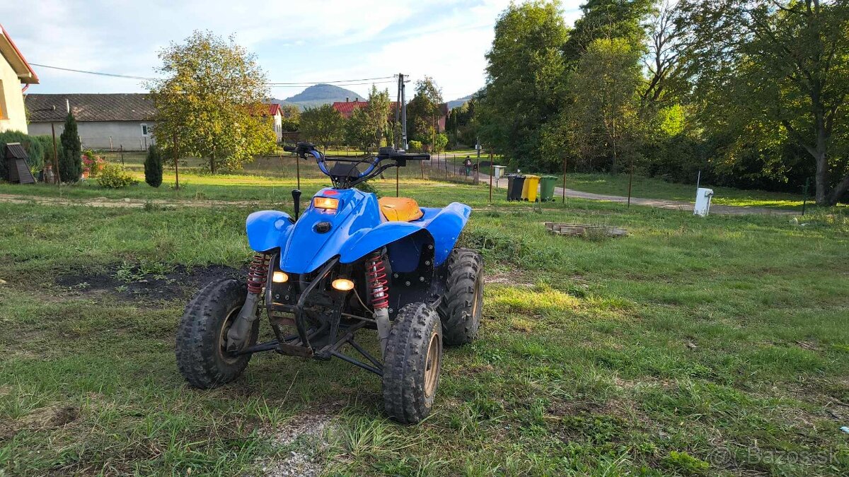 Polaris trail blazer 250 2takt