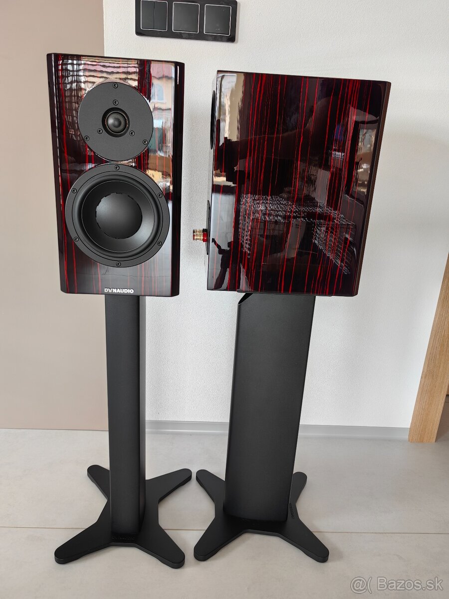 Dynaudio Special Forty Black Vine vysoký lesk