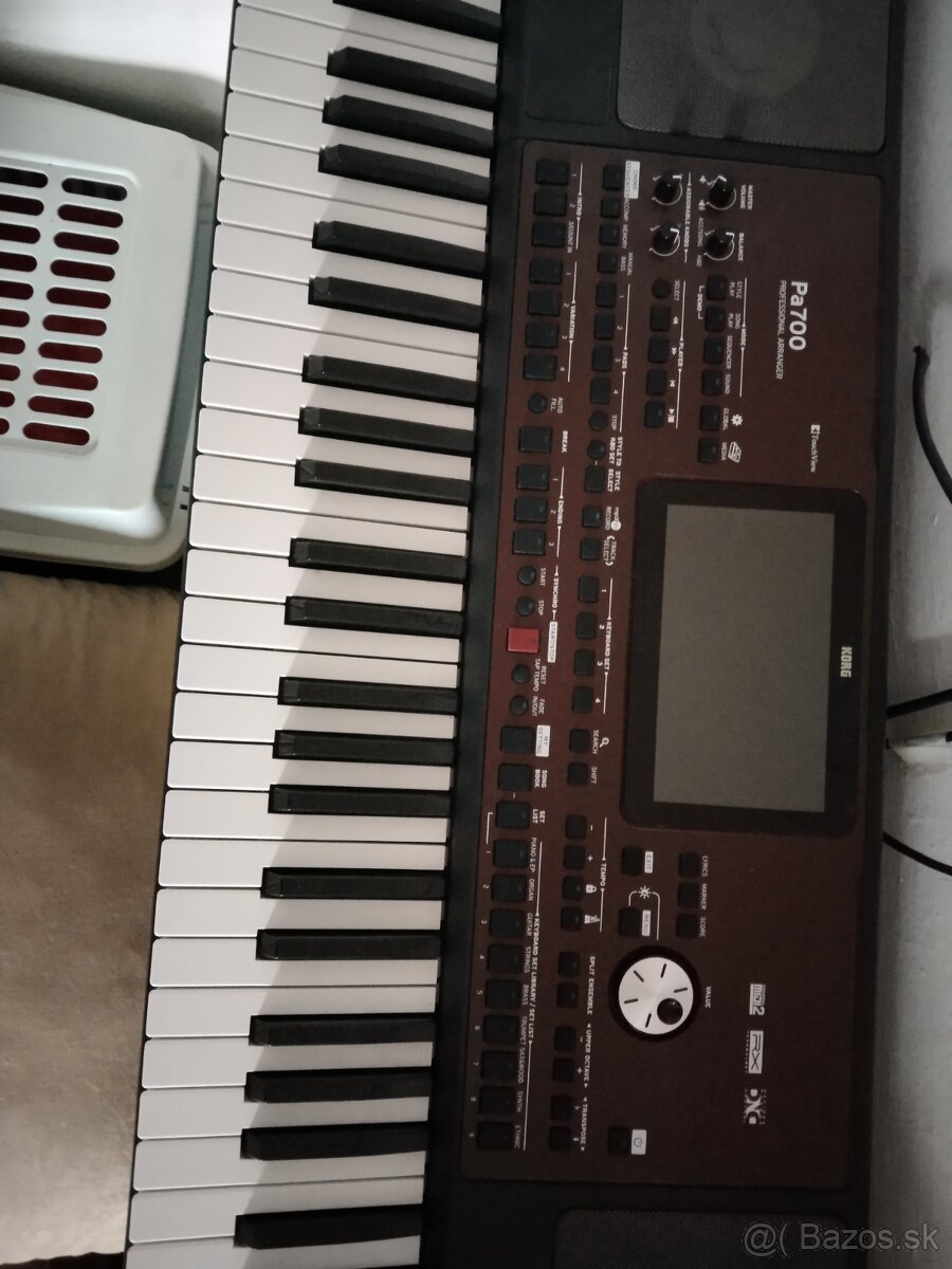 Korg