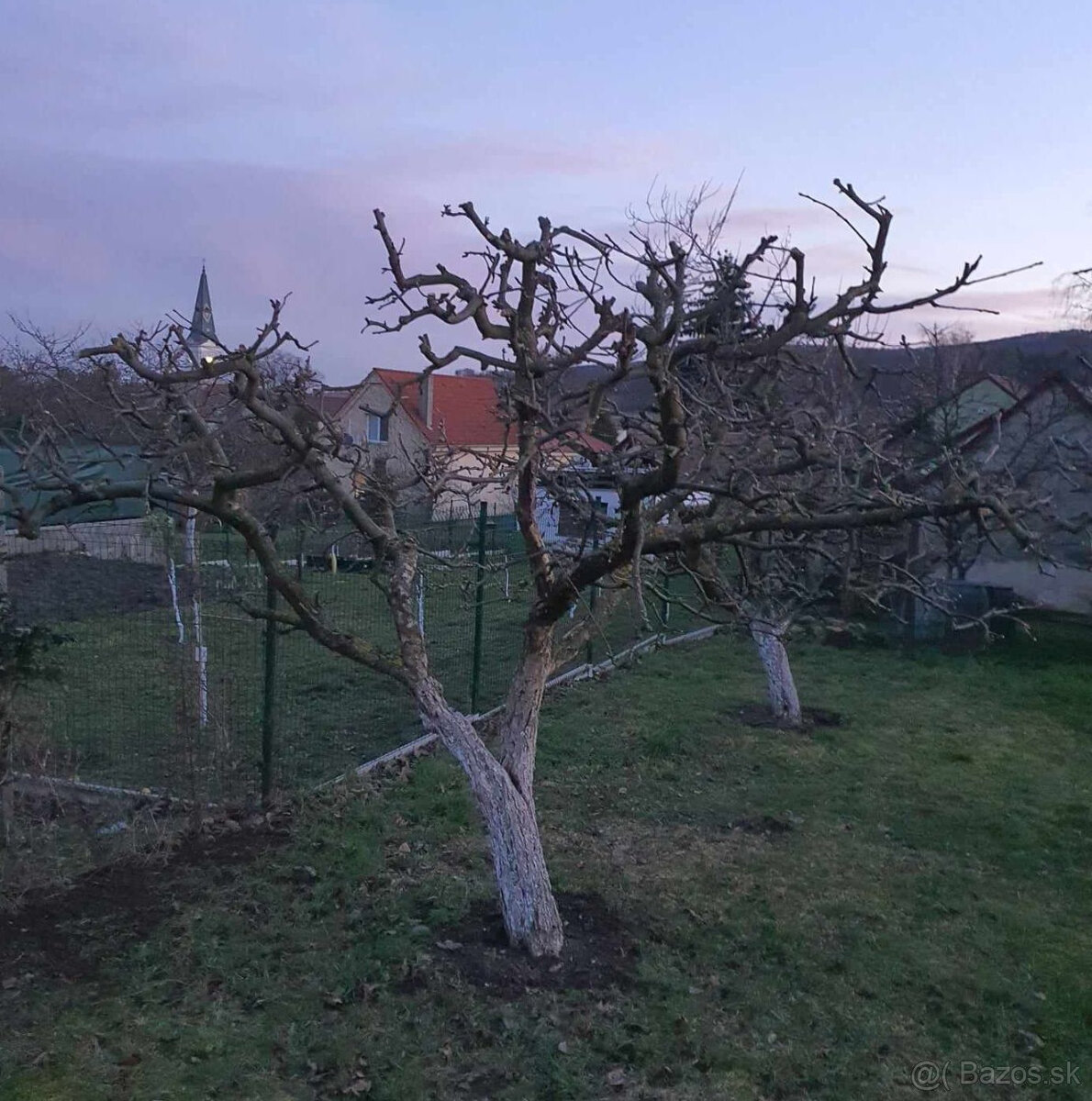 Orezavanie stromov a jarna udrzba zahrad