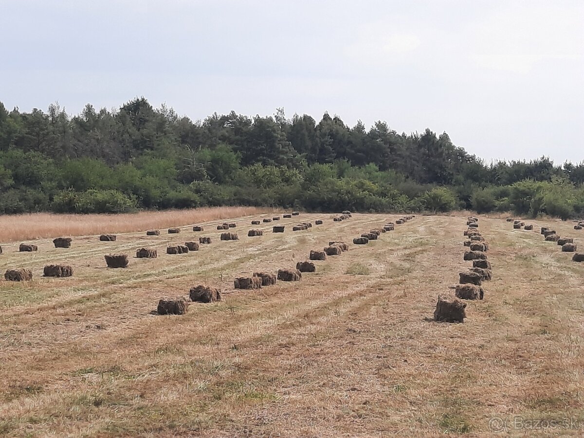 Seno malé balíky na predaj pre zajace kozy ovce