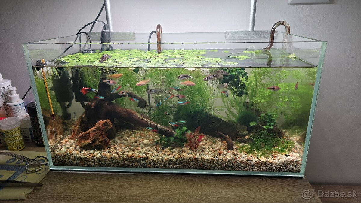 Akvarium 54l s technikou a osadenstvom