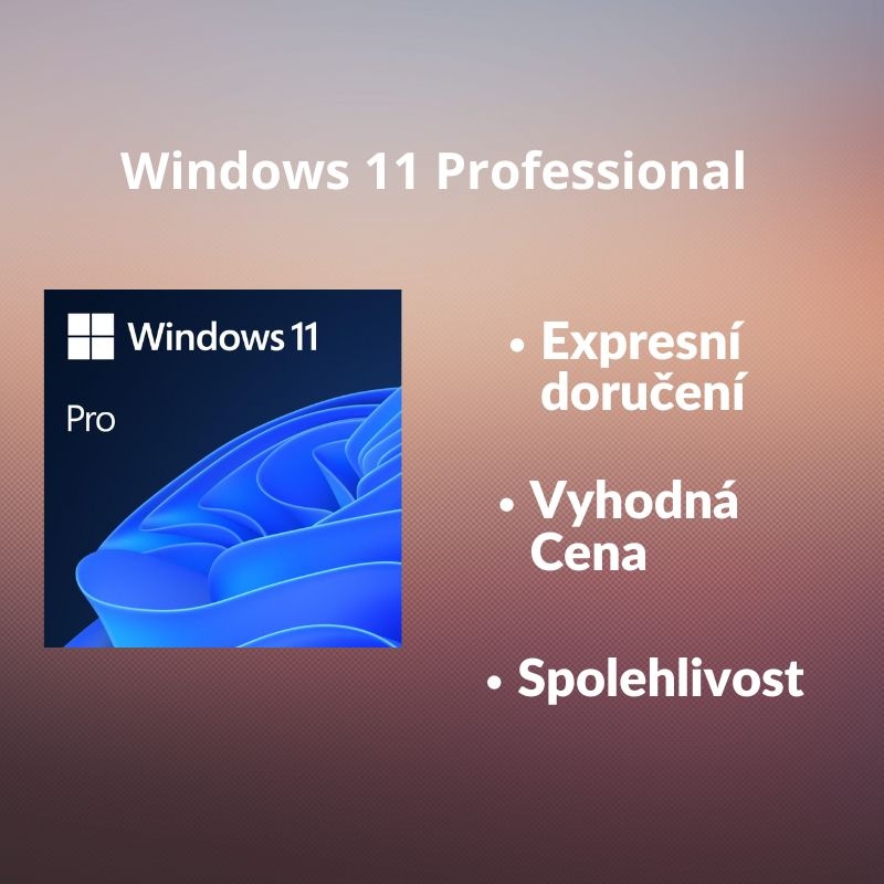 |SK| Windows 11 Pro / Home |Dodanie hneď|