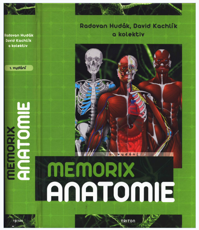 Memorix anatomie