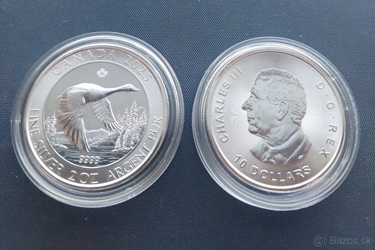 Kanada 2oz Hus 2025 investicne striebro