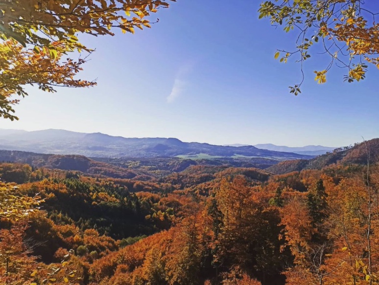 Hoštiná - 5.262 m2 Lesy a Orná pôda - NA PREDAJ