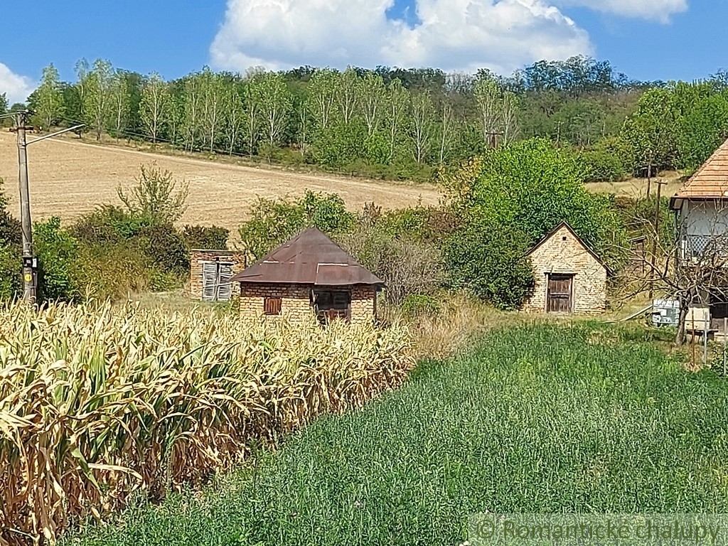 Pozemok s pôvodnou pivnicou na viničnom vŕšku v obci Modra