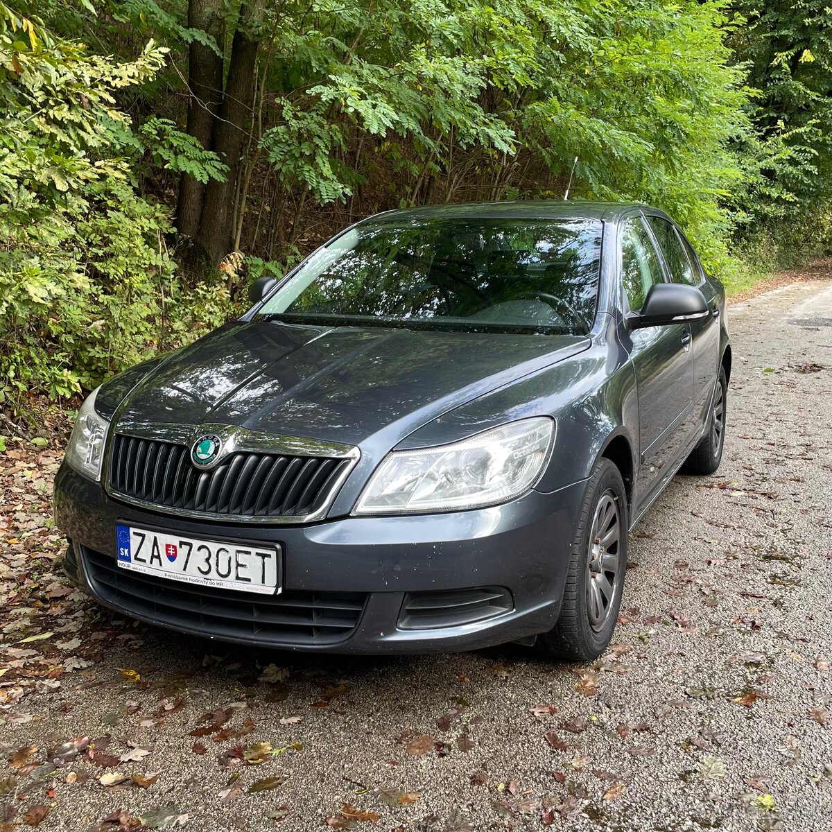 Škoda octavi 2