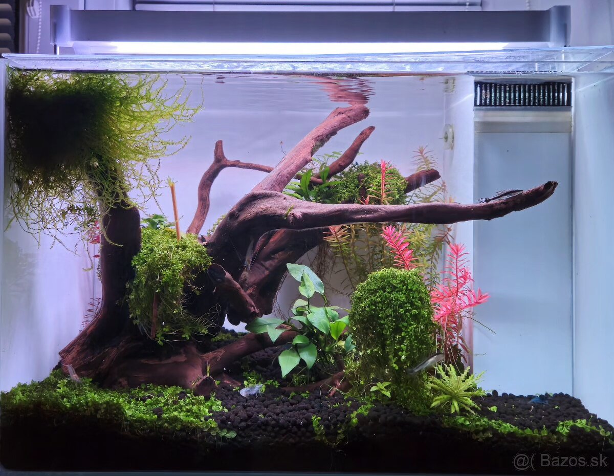 Akvarium optiwhite  45x27x30cm