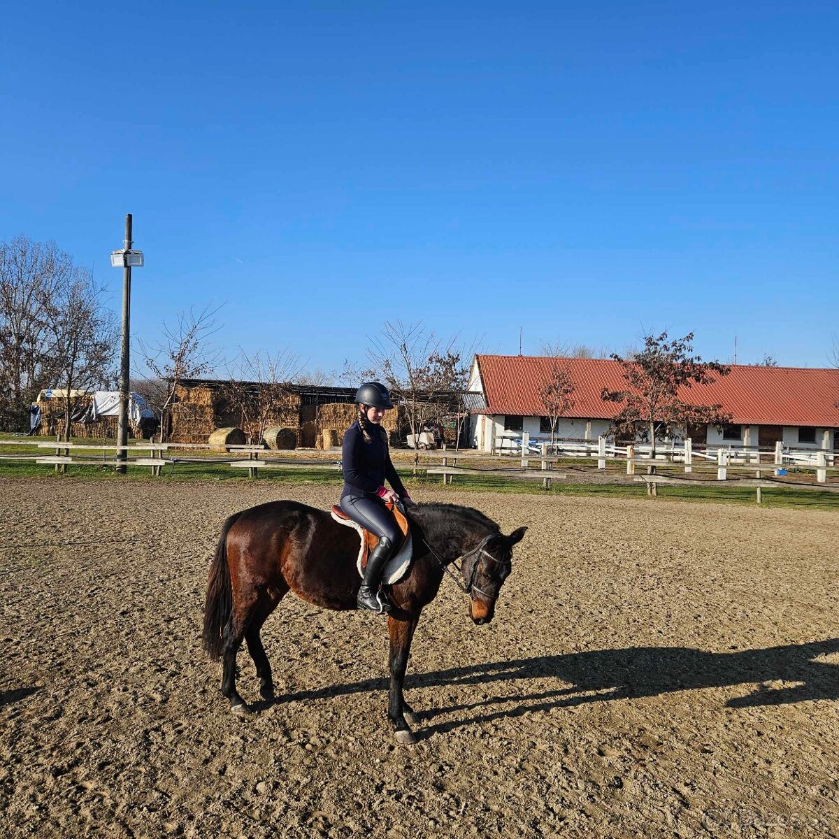 Šport pony x QH