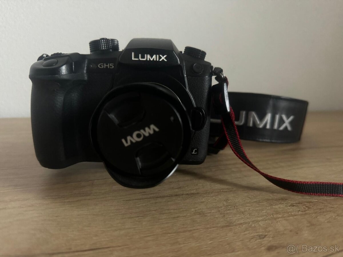 Panasonic lumix GH5