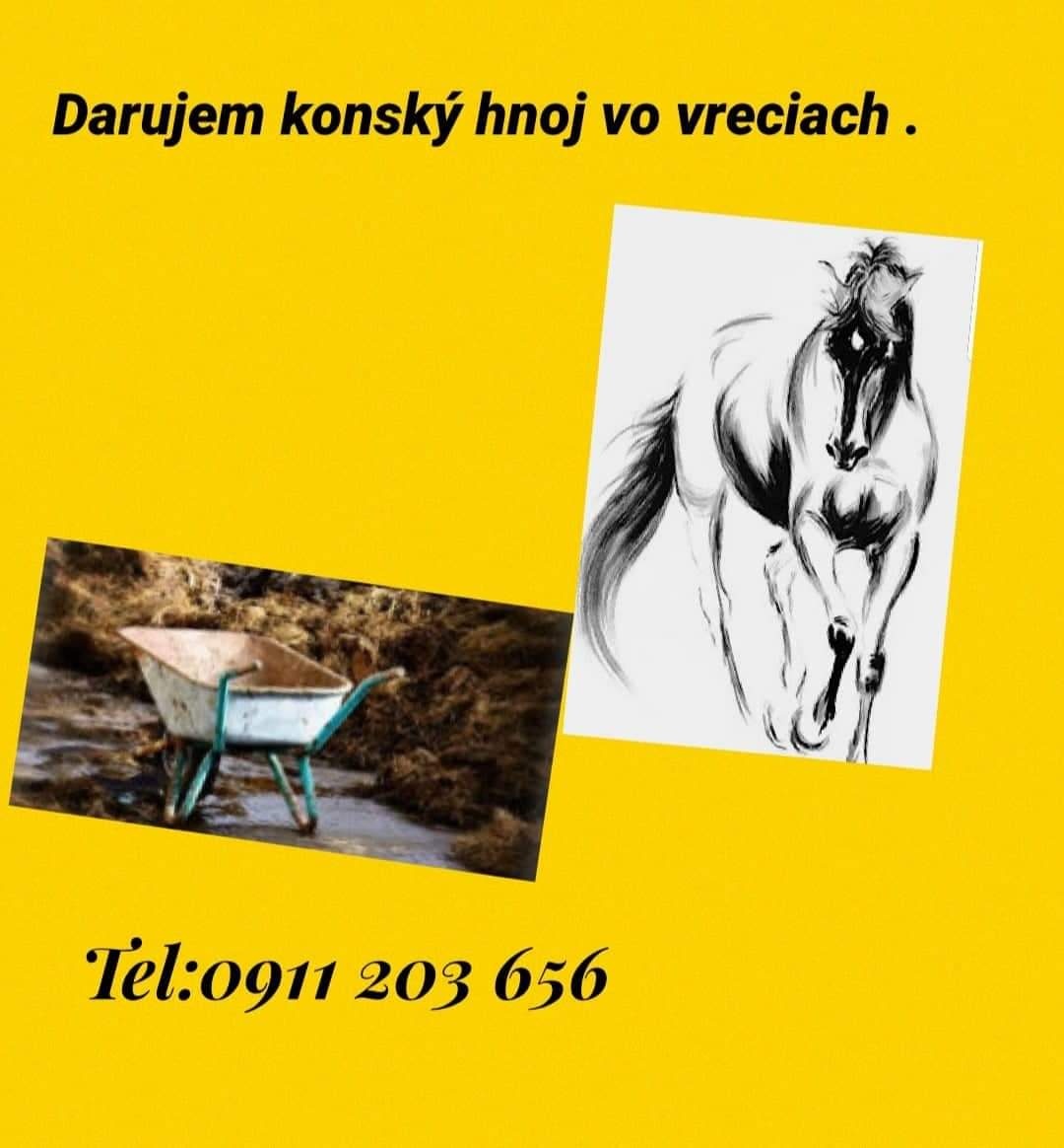 Konský hnoj