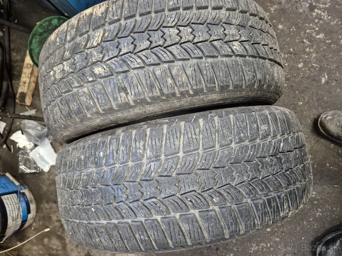 205/55r16 Zimné