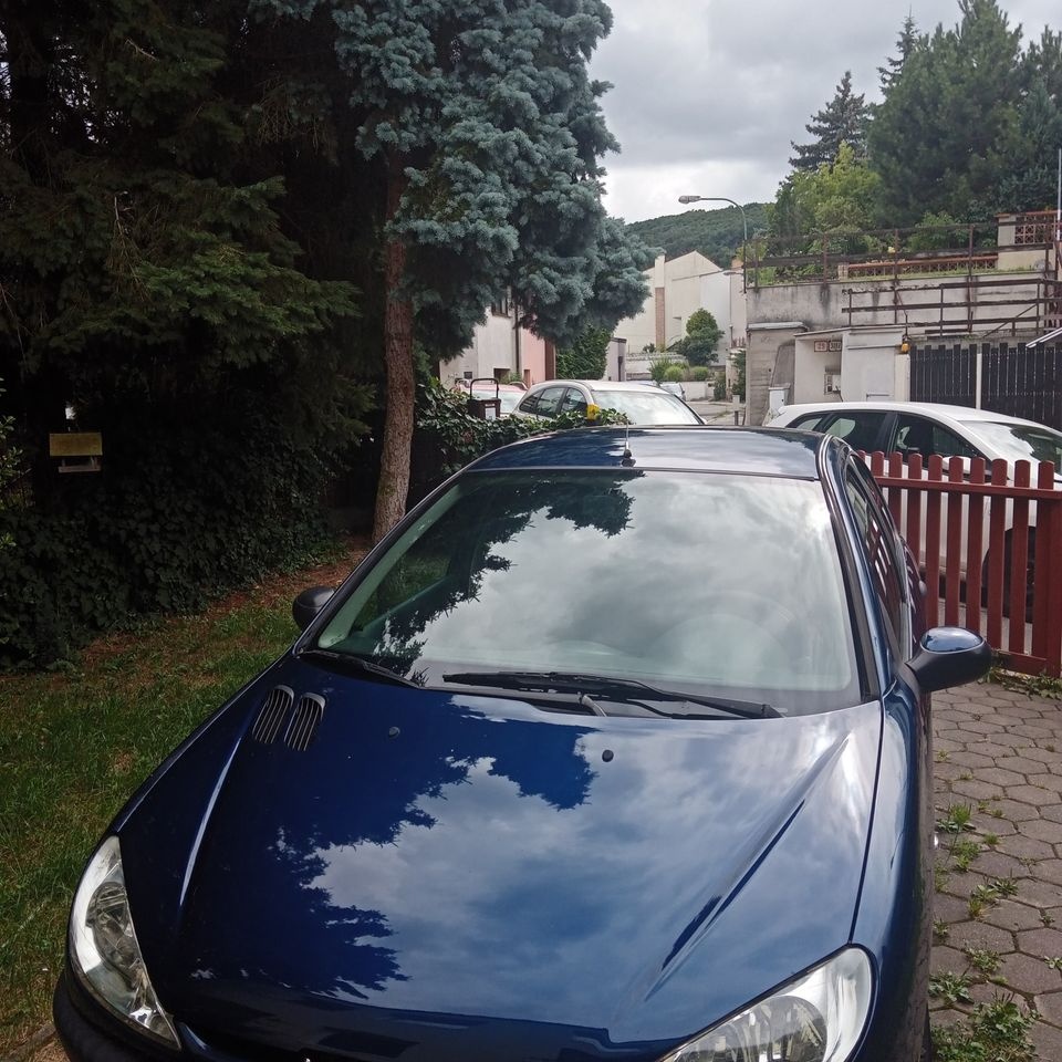 Peugeot 206