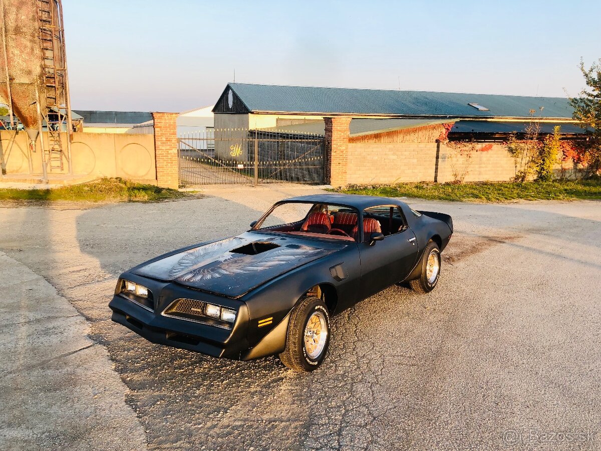 Pontiac Firebird Trans Am 1979, V8 400cui