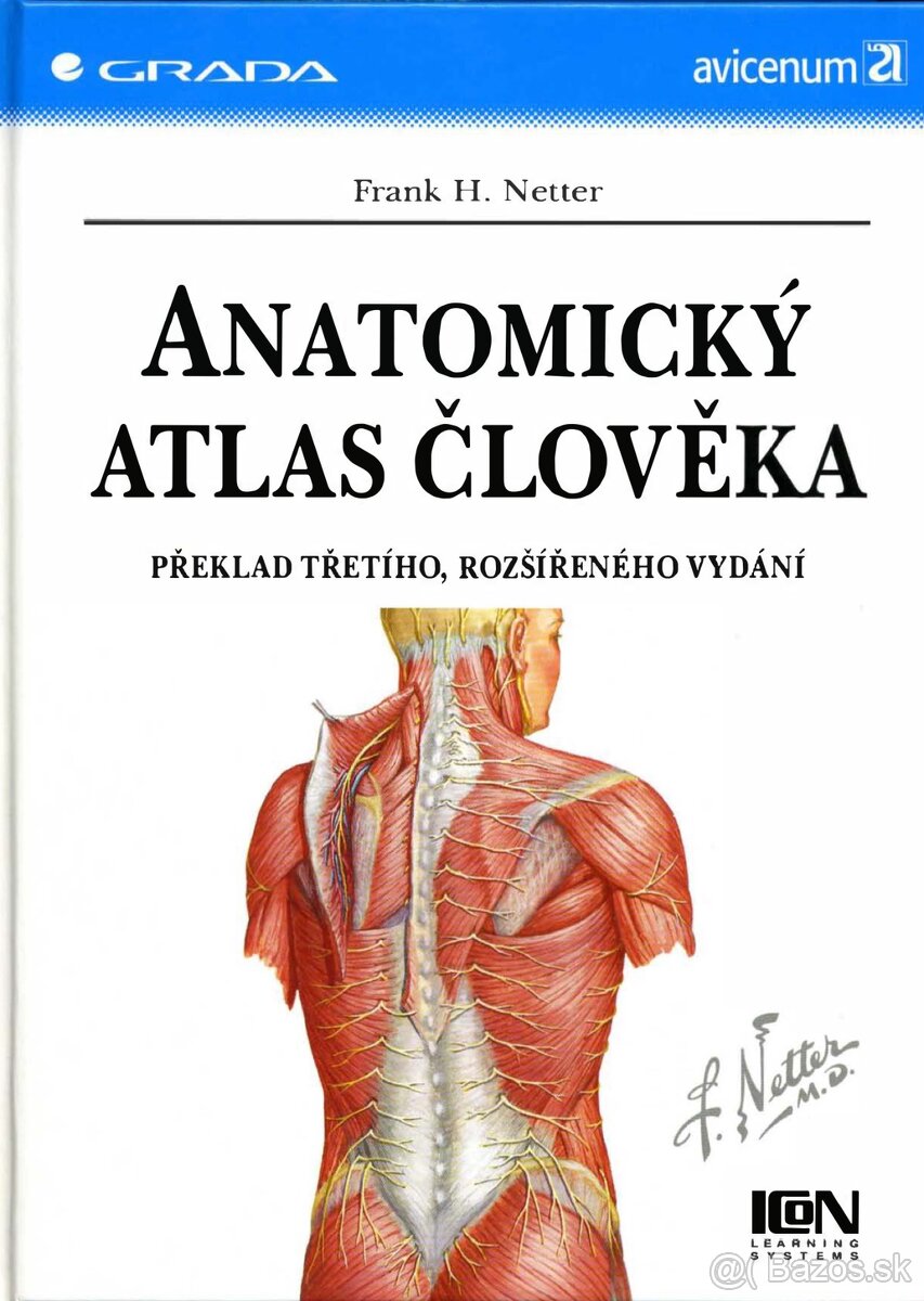 Netterov atlas PDF