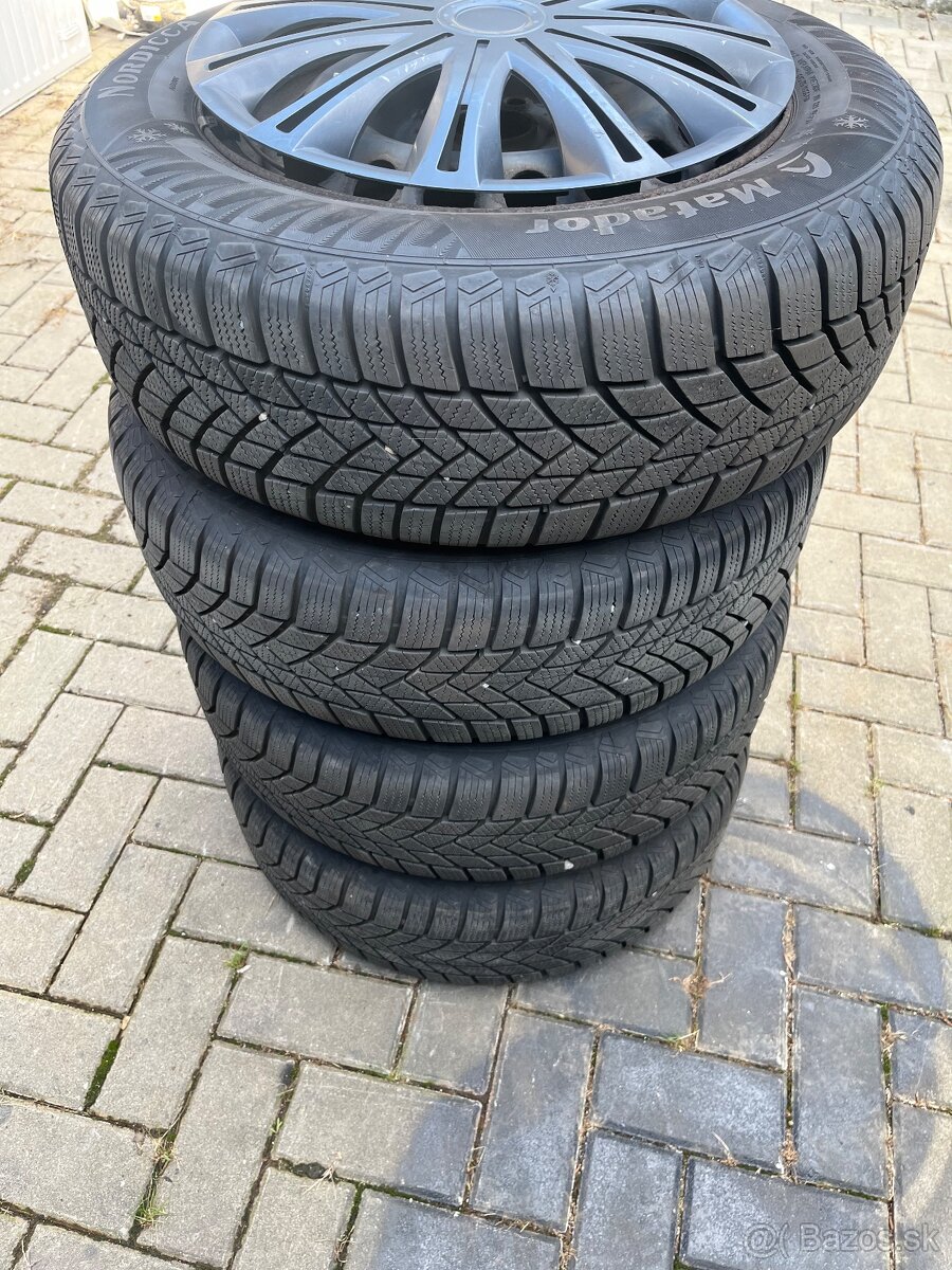 Zimne 195/65 R15