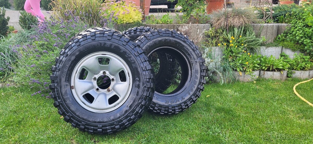 Radial Tyre Extreme T3