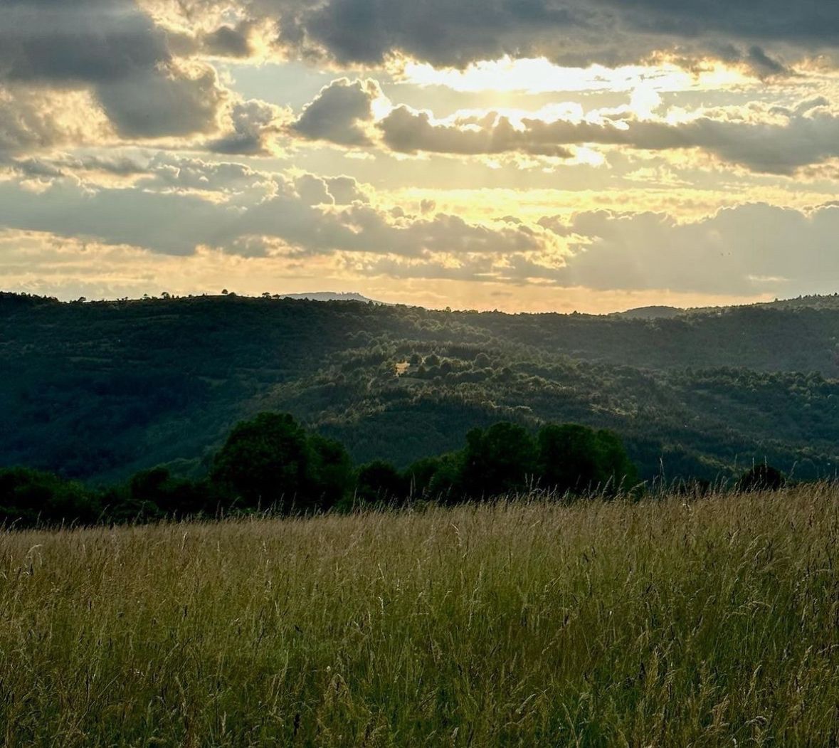 Madačka – 26.051m2 LESOV (Urbáru) – PREDAJ