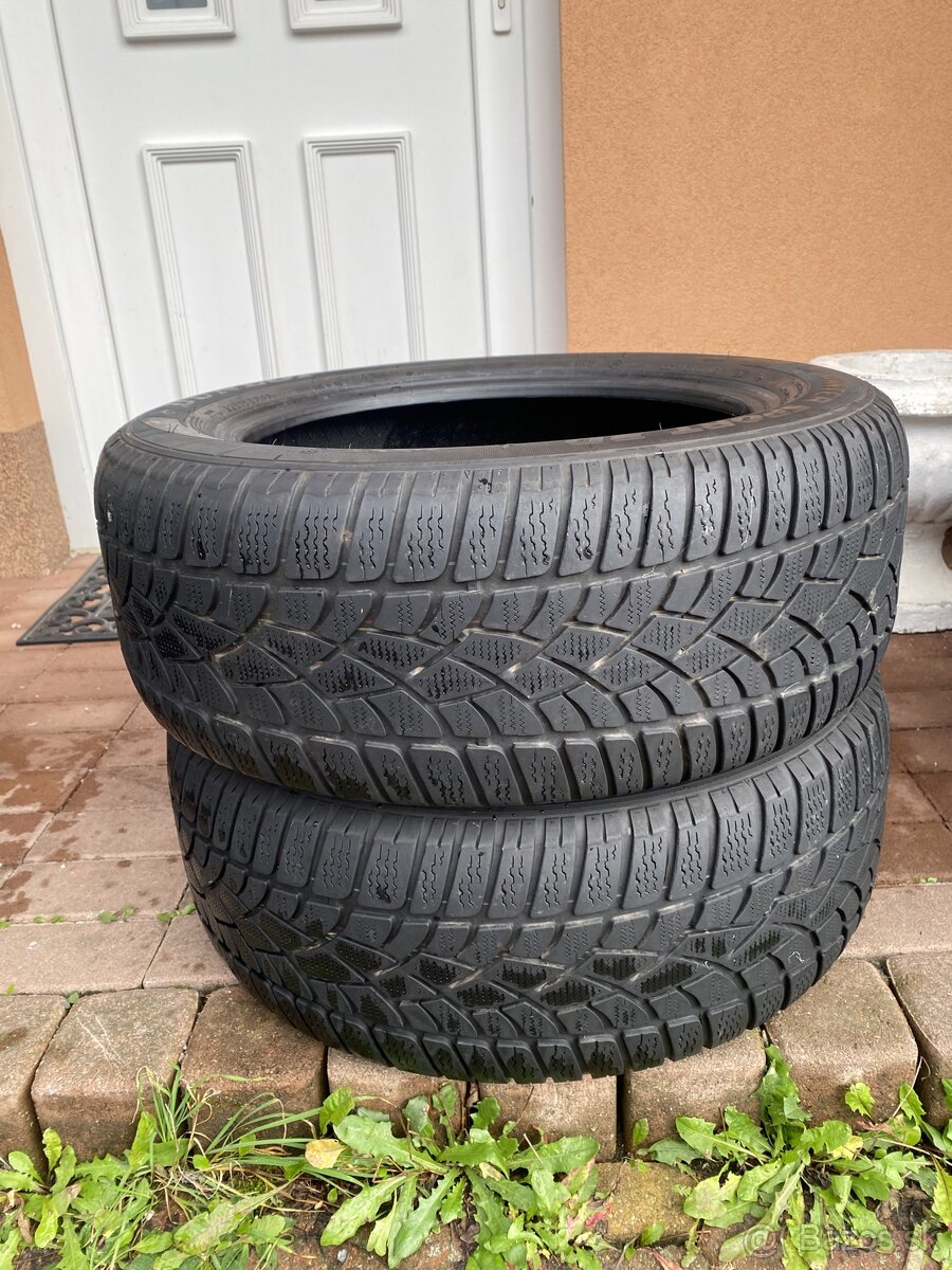 225/55 r17 dunlop wintersport