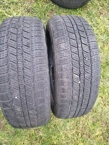 Zimné pneu MINERVA 185/65 R14