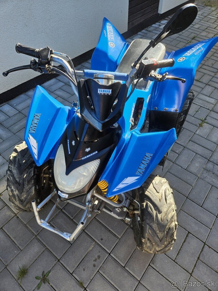 ATV 110