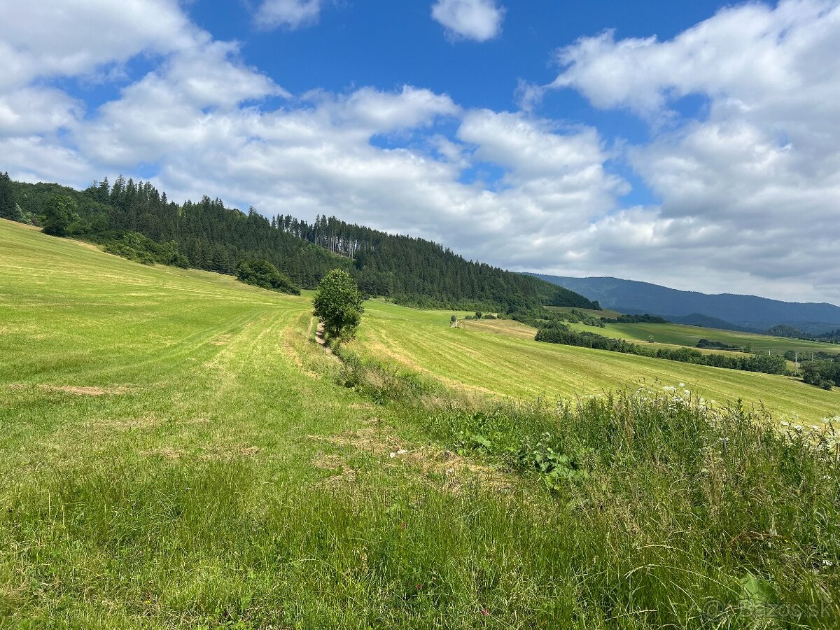 Pozemok neďaleko centra Dolný Kubín - 8649m2