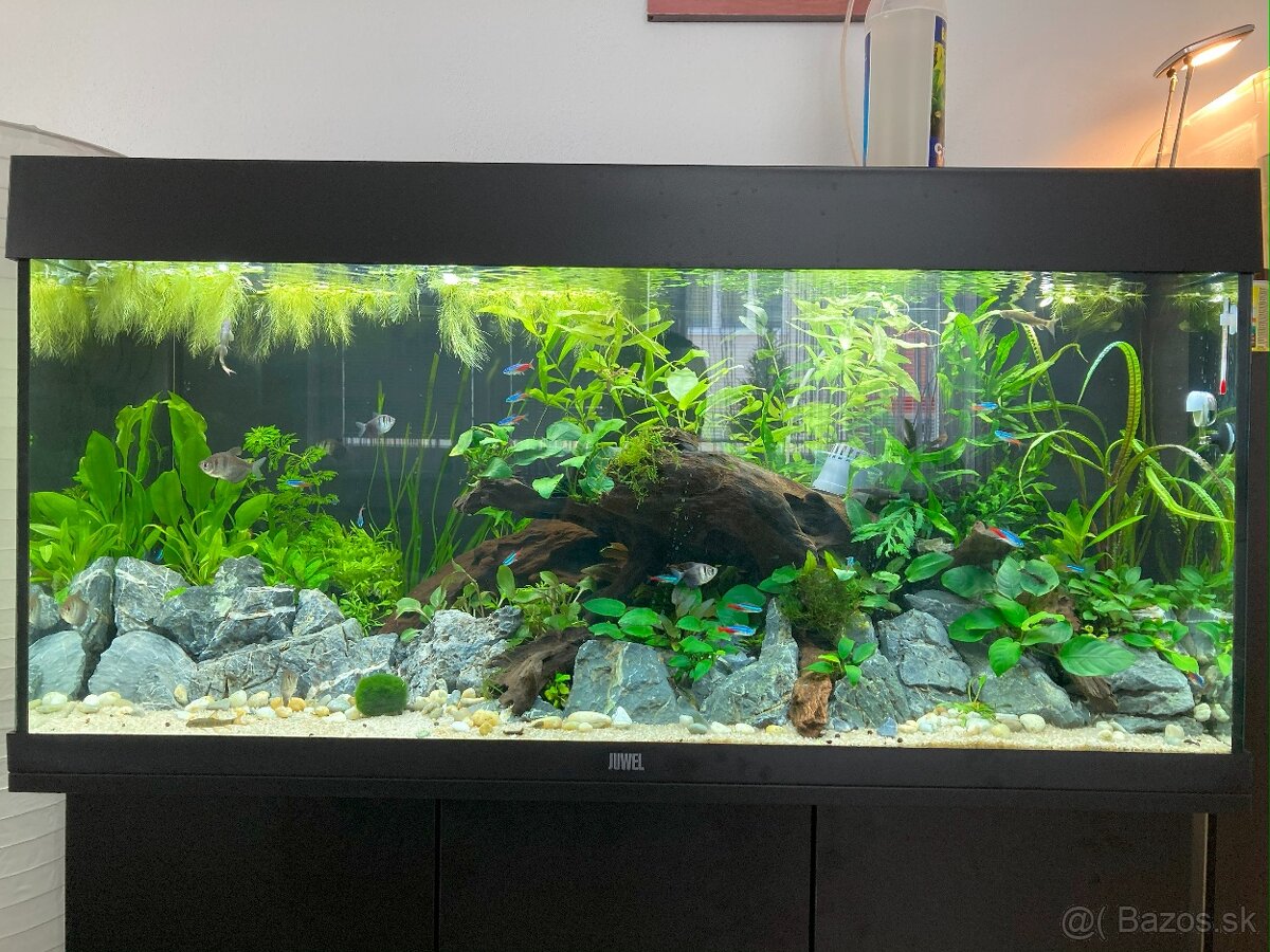 Akvarium Juwel Rio 180