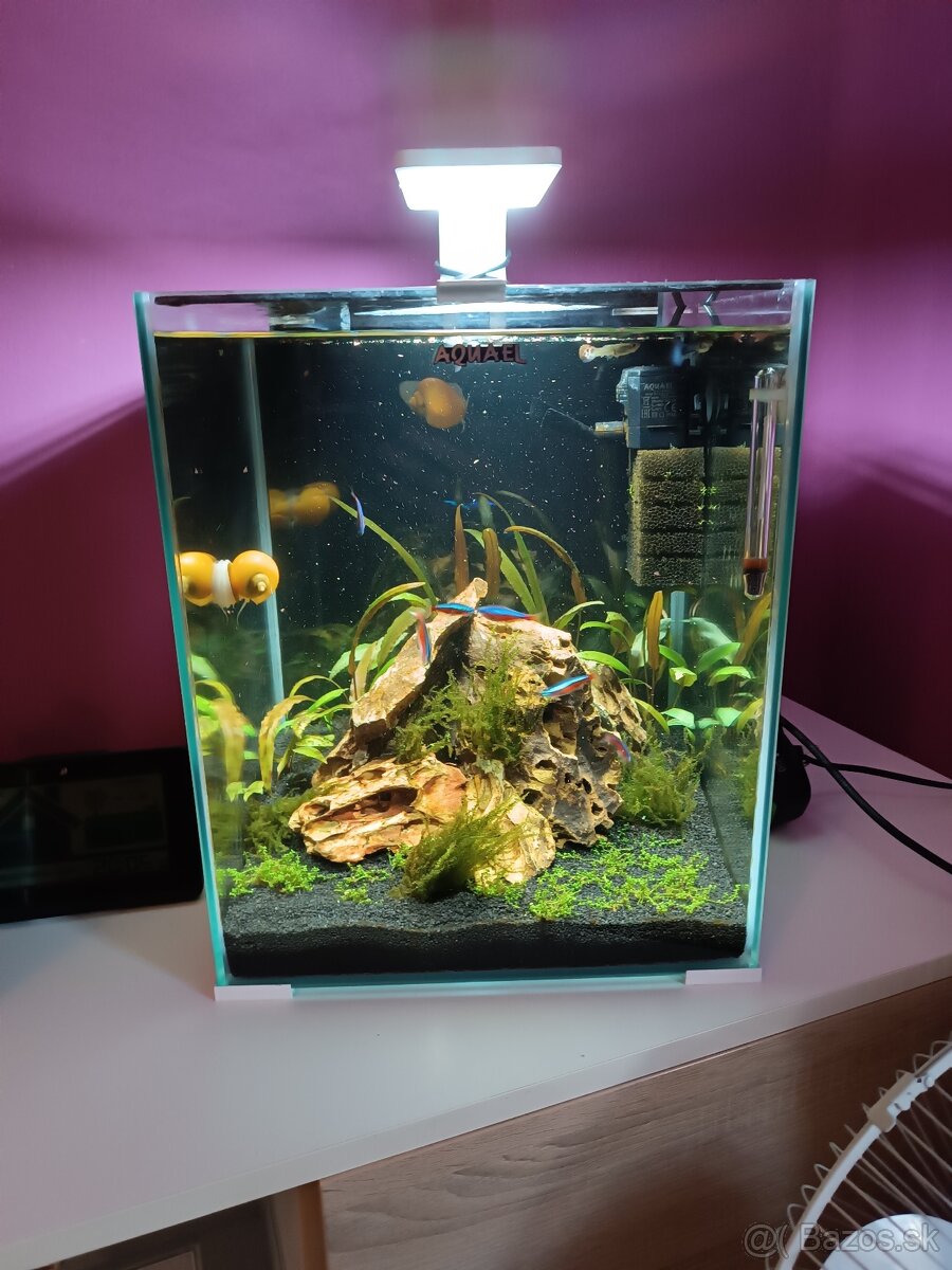 Nano akvárium 30l