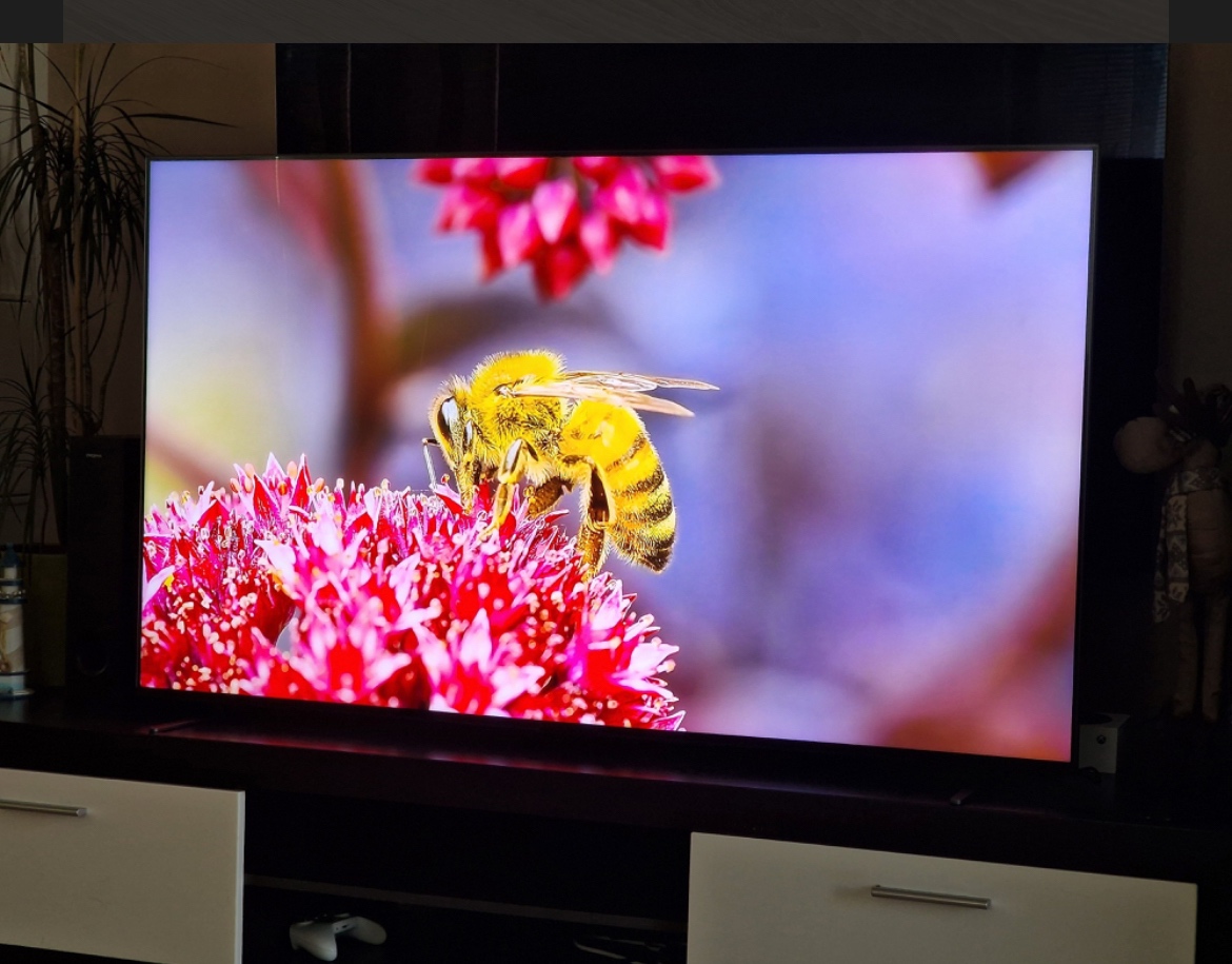 OLED Sony Bravia 8 55”