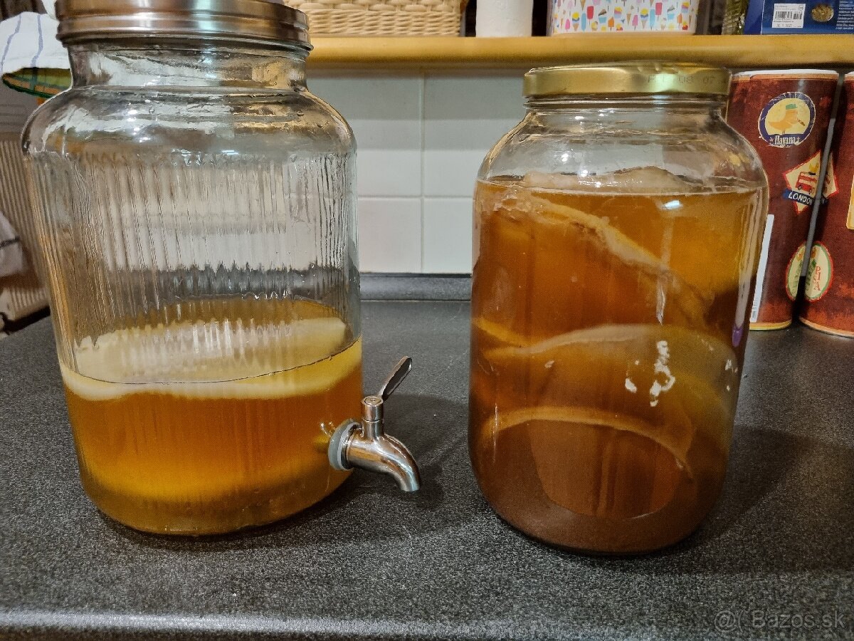 Kombucha