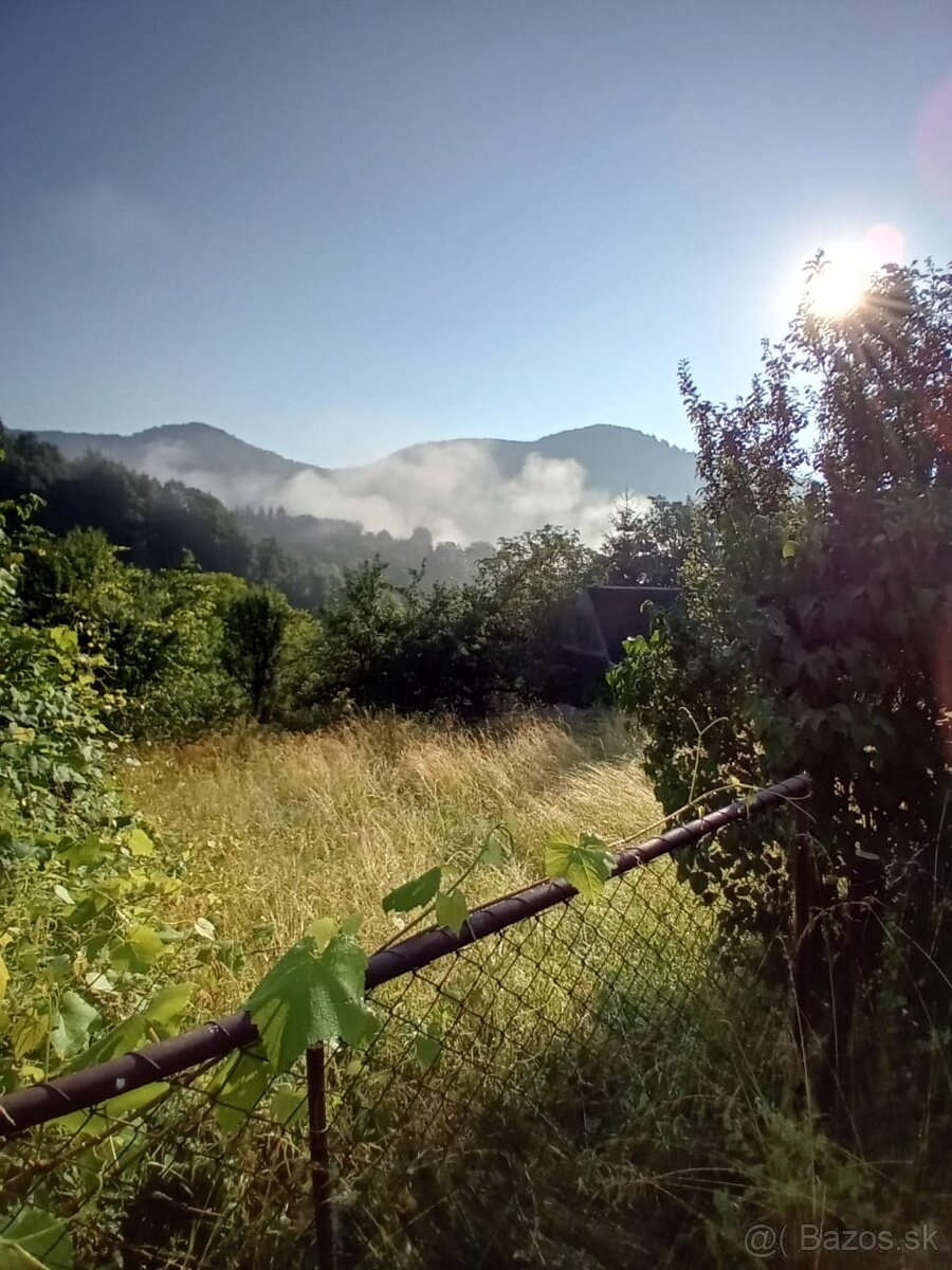 Údržba nehnuteľností, pozemkov - kosenie, výrez drevín....