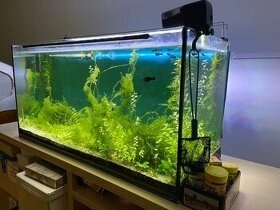 200l akvárium + filter JBL + LED lampa