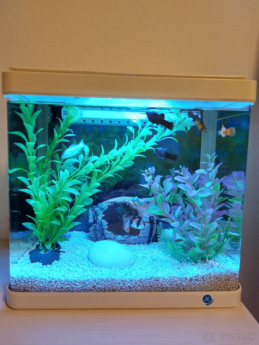 Predám Akvarium Animals 21L..