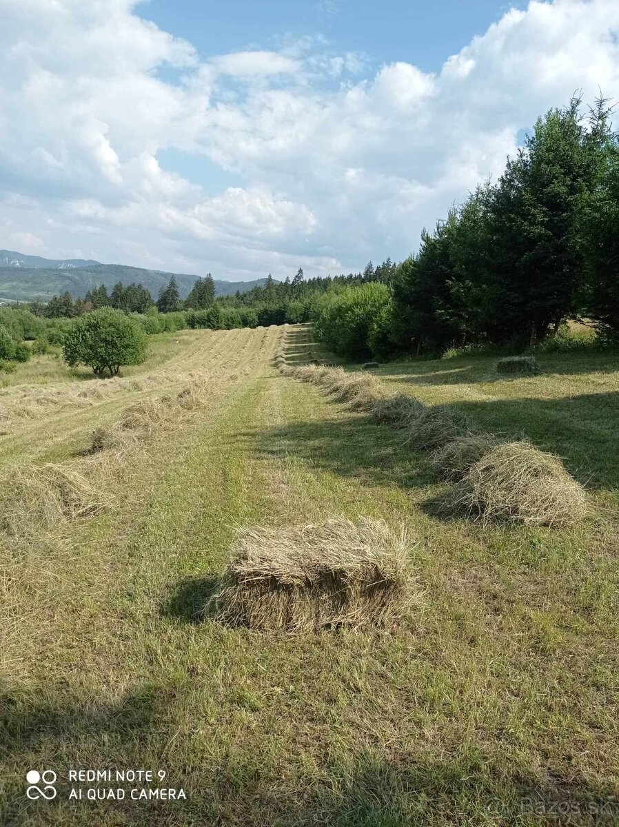 Predám balikované seno