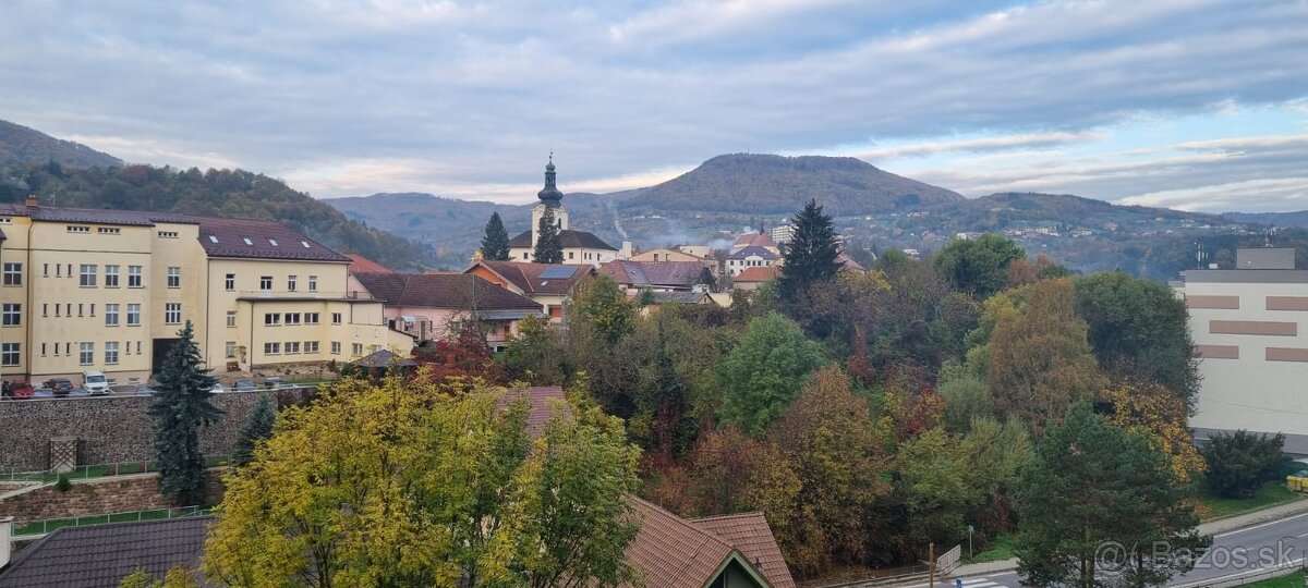 Prenajmem 3i byt na Štúrovke NB.