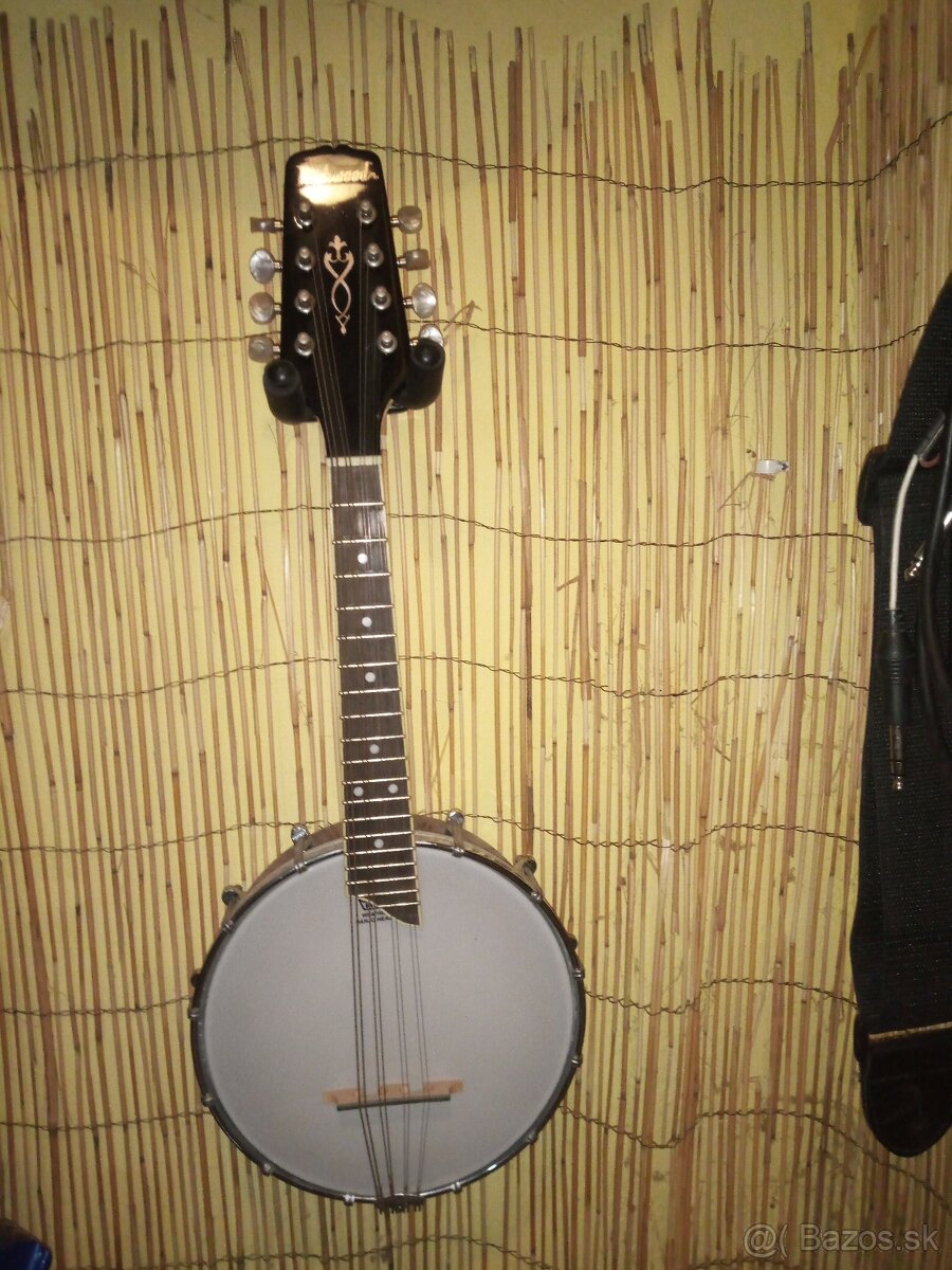 Banjo