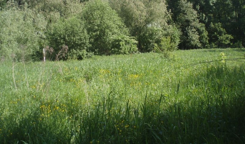 Pozemok Budatín, Žilina