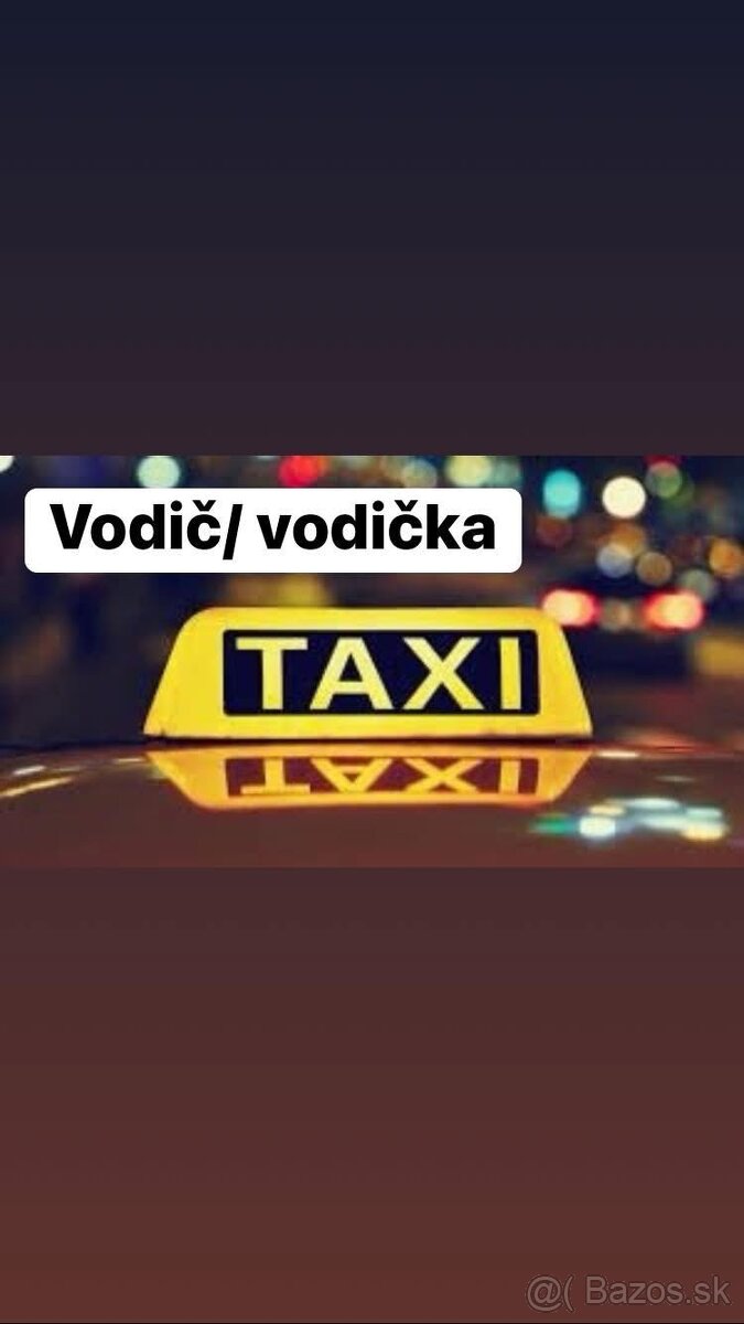 Vodič/Vodička TAXI