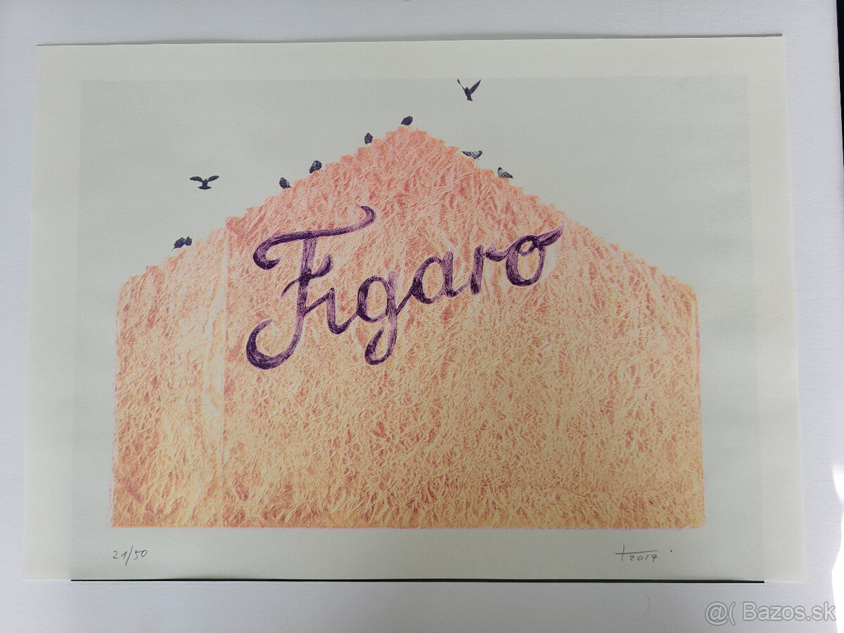 Figaro — Michal Tornyai (Cierne diery)