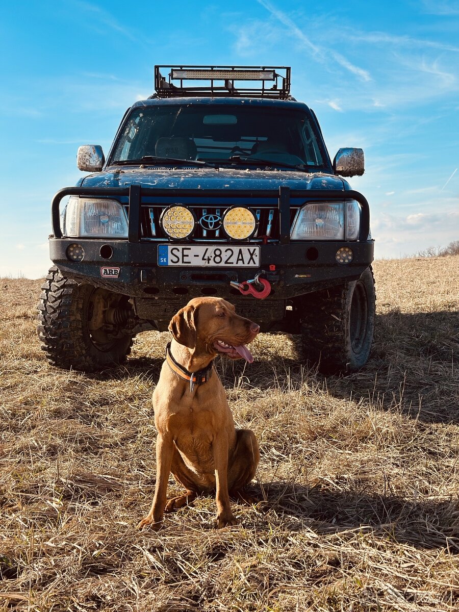 Toyota landcruiser 95 Taliansko